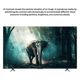 TCL 50 inch Android Smart TV - 4K, 50P71B